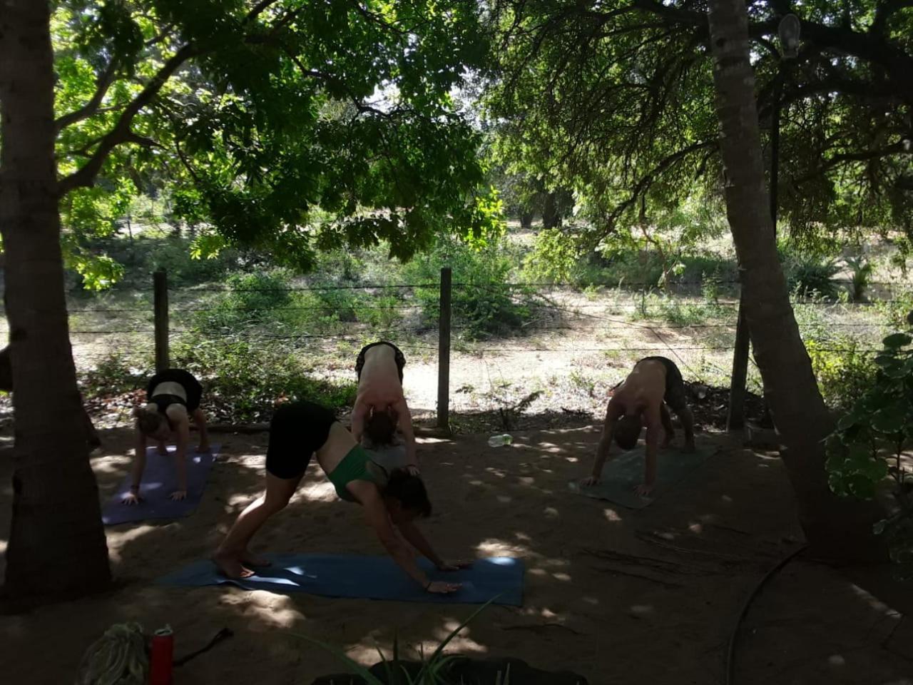 Hangover Hostels Arugam Bay Buitenkant foto